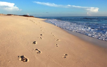 На запорожском курорте вора нашли по следам на песке