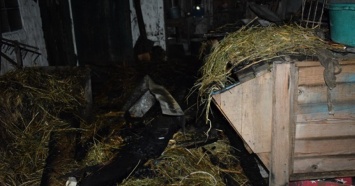 На Ровенщине два ребенка погибли после шалостей с огнем