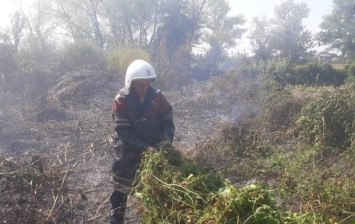 Кременчуг окутало дымом из-за пожаров вокруг города