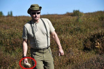 Он гриб: в сети заметили удивительное сходство Путина с персонажем Экзюпери