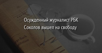 Осужденный журналист РБК Соколов вышел на свободу