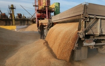 В Украине сократился урожай ранних зерновых