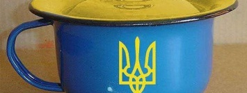 Беглого депутата Госдумы удивил масштаб бездарности украинских политтехнологов