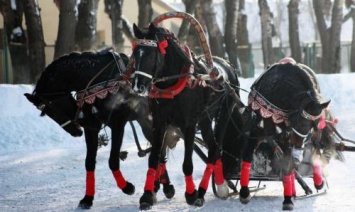 В Никольске выяснили: Нарушение ПДД - древняя русская традиция