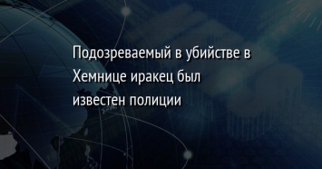 Подозреваемый в убийстве в Хемнице иракец был известен полиции