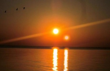 «Нибиру?»: В небе над Аляской веб-камера отчетливо засняла планету под Солнцем