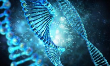 Ученые: 20 процентов генома человека является бесполезной