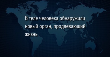 В теле человека обнаружили новый орган, продлевающий жизнь