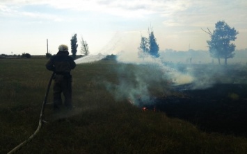 В Нижнесерогозском районе около лесополосы загорелся сухостой