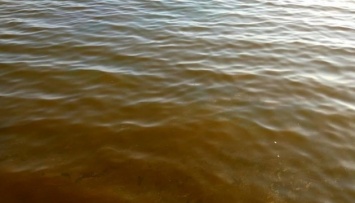 Почему «поржавела» морская вода на одесских курортах, выяснят экологи