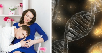 Дети наследуют интеллект от мамы, а не от папы! «Умный ген» нашли в женской X-хромосоме