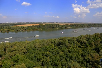 Мониторы и змеи: на Дунае впервые проходят украино-румынские военно-морские учения