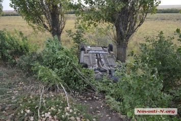 Под Николаевом перевернулся автомобиль: пострадала семья из Житомира