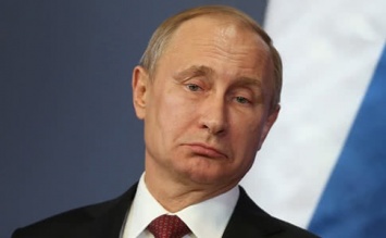 Чувствует себя памятником: в сети смеются над Путиным с голубями на голове