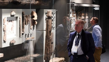 В Татарстане открылся первый в России музей археологического дерева