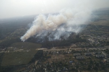 Масштабный лесной пожар: спасатели тушат участки площадью 2,5 гектара