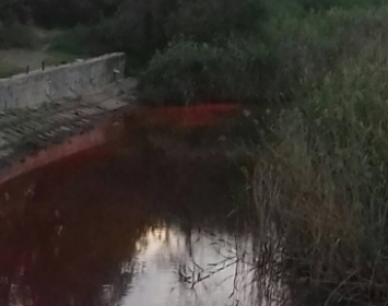 Власть Запорожья анонсирует начало расчистки небольших рек и водоемов