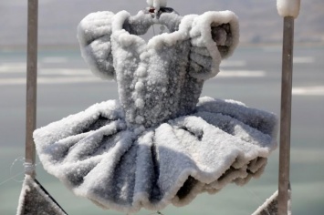 Художница превращает обычные вещи в скульптуры с помощью Мертвого моря (Фото)
