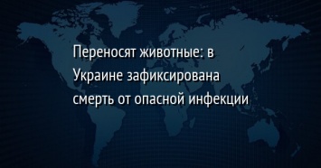 Переносят животные: в Украине зафиксирована смерть от опасной инфекции