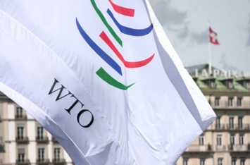 В антидемпинговом деле о нитрате аммония, которое рассматривалось в ВТО, по принципиальным позициям Украина победила - эксперт