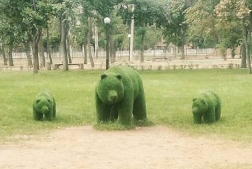 На Днепропетровщине у зеленой медведицы появилось потомство (Фото)