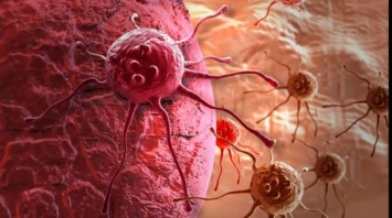 Обнаружен ранее неизученный фермент, участвующий в развитии раковых опухолей