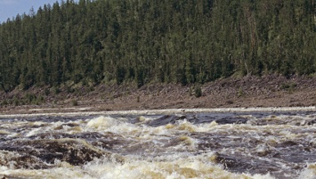 Ученые СВФУ исследуют загрязненные участки реки Вилюй в Якутии