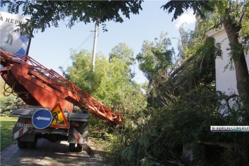 Коммунальные службы Керчи вторую неделю устраняют последствия урагана