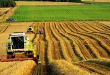 Украина наращивает торговлю аграрной продукцией с Германией
