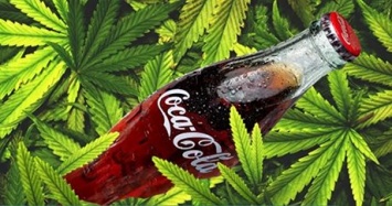 Coca-Cola хочет выпустить напиток с марихуаной