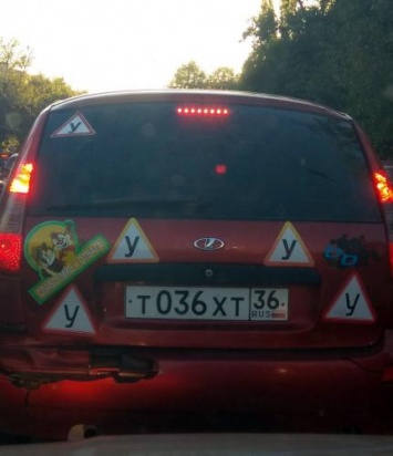Безумный автомобиль ученика заметили на дороге в Воронеже