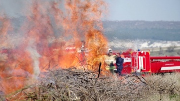 Шашлык и салют под запретом: в Крыму чрезвычайная пожарная опасность