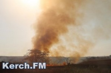 В Крыму на три дня объявили высокую пожароопасность