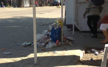 В центре Запорожья остановка завалена мусором (ФОТО)