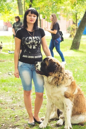 В Бердянске прошла городская выставка собак «Кубок Мэра 2018»