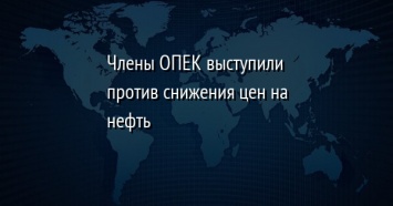 Члены ОПЕК выступили против снижения цен на нефть