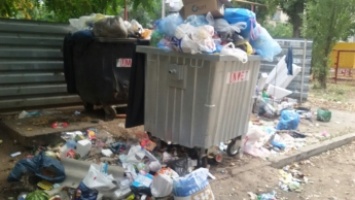 Город утопает в мусоре - частная компания не утруждает себя уборкой ТБО (фото)