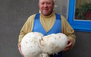 В Николаевской области грибник нашел огромный гриб весом более пяти килограмм