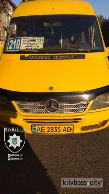 На Днепропетровщине полиция остановила водителя маршрутки "под кайфом"