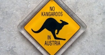 Больше не смешно: В Австрии тоже водятся дикие кенгуру