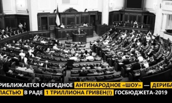 Вилкул: Власть готовит очередное антинародное «шоу» - дележ в Раде 1 триллиона гривен госбюджета-2019