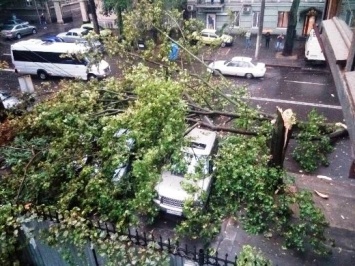 Из-за непогоды в Одессе пострадал 1 человек, повреждены 13 автомобилей, повалены ветром 32 крупных ветки и дерева