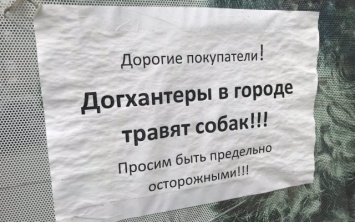 В Херсоне появились объявления с предупреждениями о догхантерах