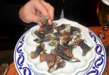 Пальцы Люцифера - новый вид моллюсков по баснословной цене