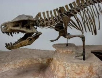 На юге Африки ученые нашли неизвестного гигантского динозавра
