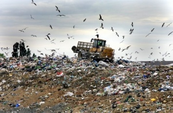 А потом говорят, что мы город зас*раем: в центре Киева растет гора гниющего мусора