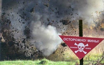 В "ДНР" от подрыва мины погибли трое детей - СМИ