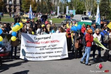 В Николаеве прошел очередной митинг зоозащитников против эвтаназии и за отстранение Голобродского