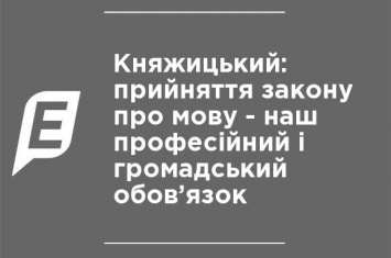 Княжицкий: принятие закона о языке - наш профессиональный и гражданский долг