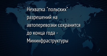 Нехватка "польских" разрешений на автоперевозки сохранится до конца года - Мининфраструктуры